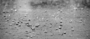 Nasse Sensoren Flachdach