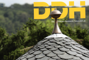 DDH Logo Hum-ID