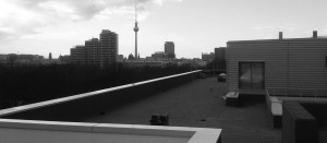 Berlin Dachkontrolle
