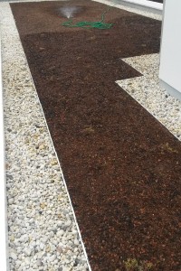 Hum-ID Neubau Privathaus Mannheim Flachdach Wässerung