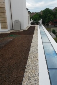 Hum-ID Neubau Privathaus Mannheim Flachdach Wässerung