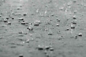 Hum-ID Regen (Hintergrund)