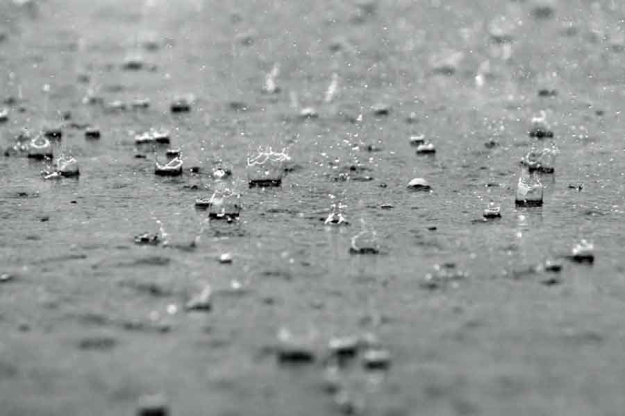 Hum-ID Regen (Hintergrund)