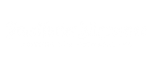 Dachkontrolle in der Frankfurter Allgemeinen Zeitung