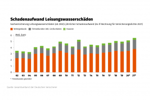 Schadenaufwand Leitung