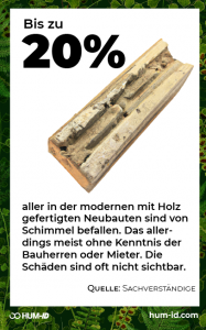 Infografik: Schimmel im Holzbau