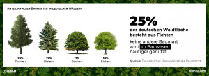 Waldfläche Deutschland in Zahlen