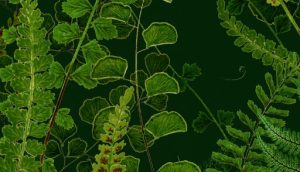 Hintergrundbild Holzstatistik