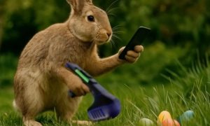 Frohe Ostern